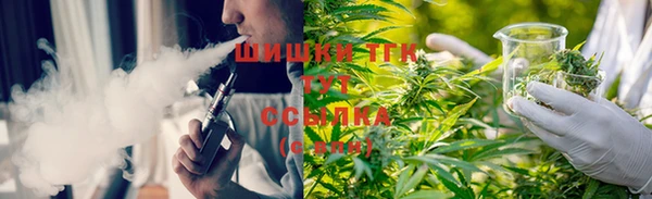 ГАЛЛЮЦИНОГЕННЫЕ ГРИБЫ Белокуриха