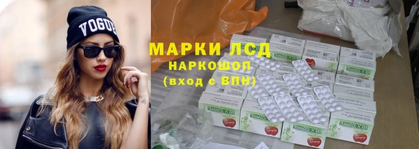 ГАЛЛЮЦИНОГЕННЫЕ ГРИБЫ Белокуриха
