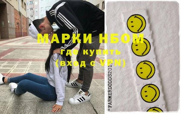 ГАЛЛЮЦИНОГЕННЫЕ ГРИБЫ Белокуриха