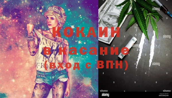 ГАЛЛЮЦИНОГЕННЫЕ ГРИБЫ Белокуриха