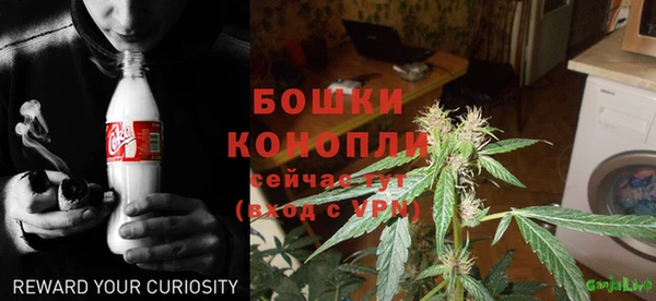ГАЛЛЮЦИНОГЕННЫЕ ГРИБЫ Белокуриха